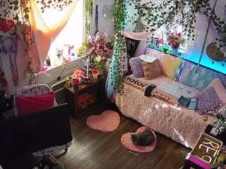 voyeurcam-veccasalt-01 webcam