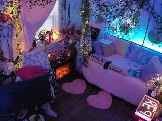 voyeurcam-veccasalt-01 webcam