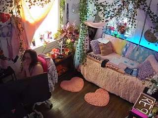 voyeurcam-veccasalt-01 webcam