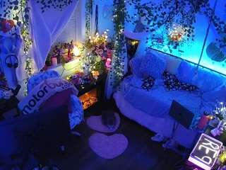 voyeurcam-veccasalt-01 webcam