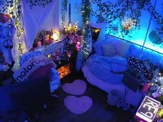 voyeurcam-veccasalt-01 webcam