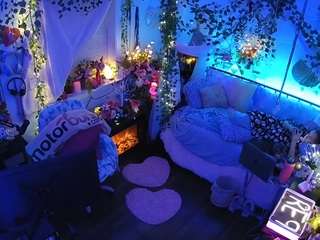 voyeurcam-veccasalt-01 webcam