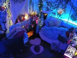 voyeurcam-veccasalt-01 webcam