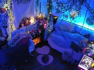 voyeurcam veccasalt 01