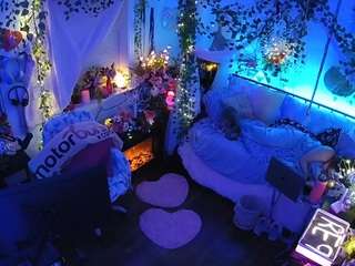 voyeurcam-veccasalt-01 webcam