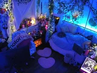 voyeurcam-veccasalt-01 webcam