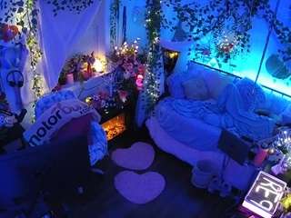 voyeurcam-veccasalt-01 webcam