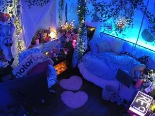 voyeurcam-veccasalt-01 webcam