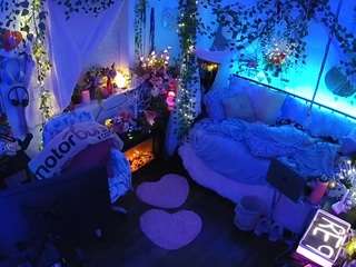 voyeurcam-veccasalt-01 webcam