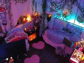 voyeurcam-veccasalt-01 webcam