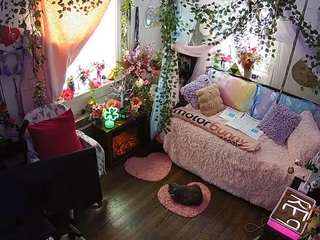 voyeurcam-veccasalt-01 webcam