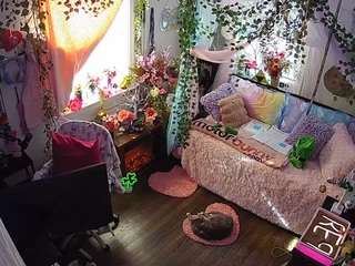 voyeurcam-veccasalt-01 webcam