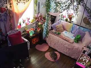 voyeurcam-veccasalt-01 webcam