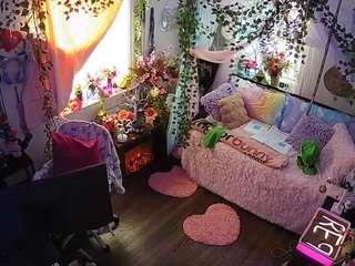 voyeurcam-veccasalt-01 webcam