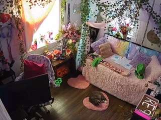 voyeurcam-veccasalt-01 webcam