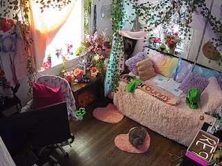 voyeurcam-veccasalt-01 webcam