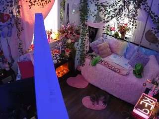 voyeurcam-veccasalt-01 webcam