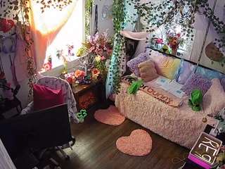 voyeurcam-veccasalt-01 webcam