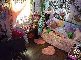 voyeurcam-veccasalt-01 webcam