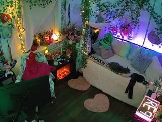 voyeurcam-veccasalt-01 webcam