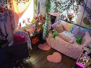 voyeurcam-veccasalt-01 webcam