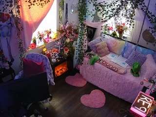 voyeurcam-veccasalt-01 webcam