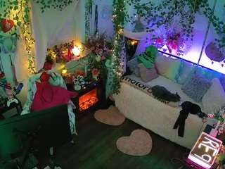 voyeurcam-veccasalt-01 webcam