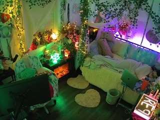 voyeurcam-veccasalt-01 webcam