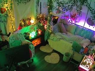 voyeurcam-veccasalt-01 webcam