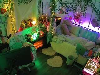 voyeurcam-veccasalt-01 webcam