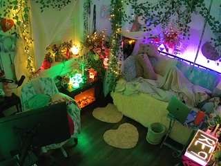 voyeurcam-veccasalt-01 webcam