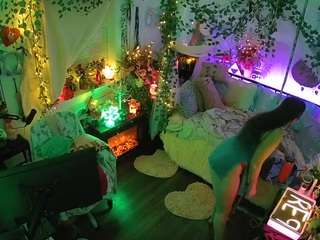 voyeurcam veccasalt 01