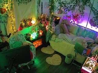 voyeurcam-veccasalt-01 webcam