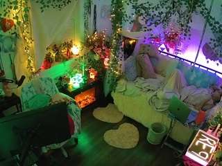 voyeurcam-veccasalt-01 webcam