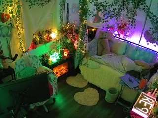 voyeurcam-veccasalt-01 webcam