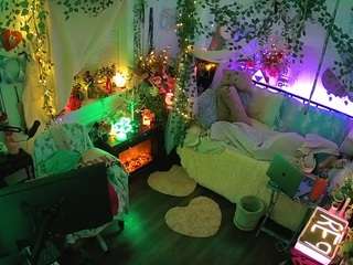 voyeurcam-veccasalt-01 webcam