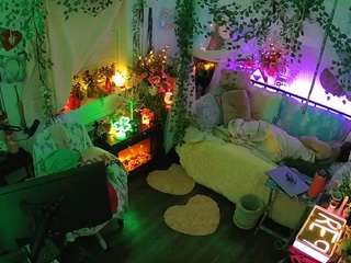 voyeurcam-veccasalt-01 webcam