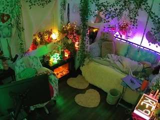 voyeurcam-veccasalt-01 webcam