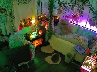 voyeurcam-veccasalt-01