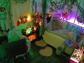 voyeurcam-veccasalt-01 webcam