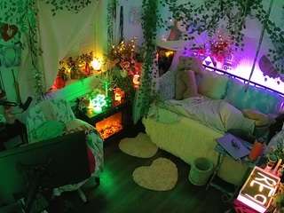 voyeurcam-veccasalt-01 webcam