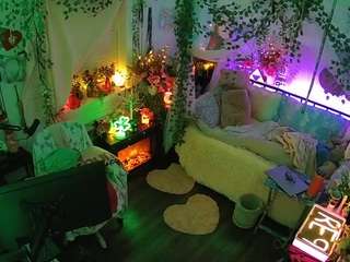 voyeurcam-veccasalt-01