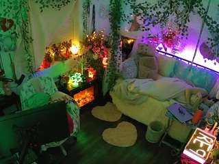 voyeurcam-veccasalt-01 webcam