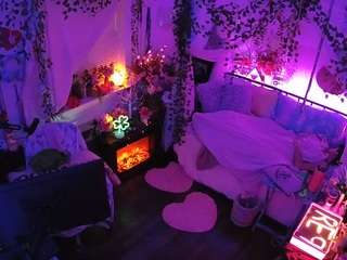 voyeurcam-veccasalt-01 webcam