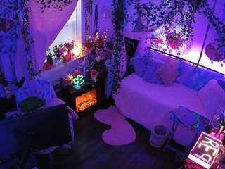 voyeurcam-veccasalt-01 webcam