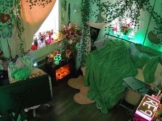 voyeurcam-veccasalt-01 webcam