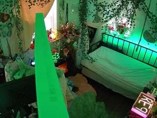 voyeurcam veccasalt 01