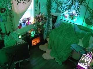 voyeurcam-veccasalt-01 webcam