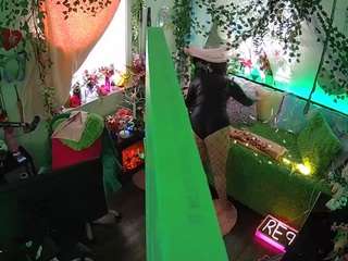 voyeurcam-veccasalt-01 webcam