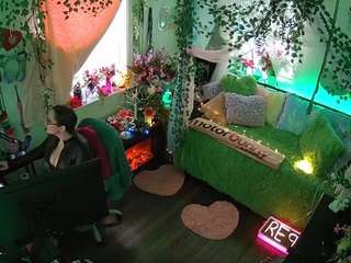 voyeurcam-veccasalt-01